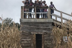 3.-Youth-Corn-Maze